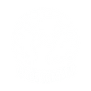 Wave Creator